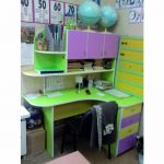 Ungherașul educatorului „Anastasia”